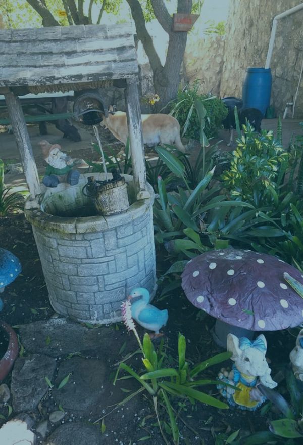 Visitors exploring the Pixie & Fairy Village at The Plot Jacobsbaai