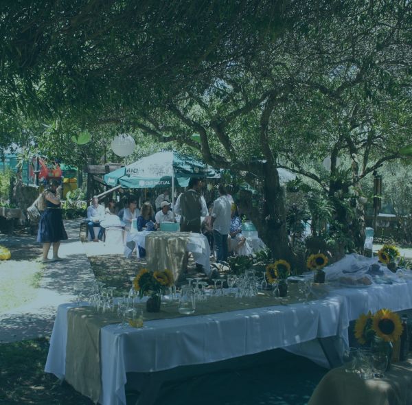 Wedding reception tables under shady trees at The Plot in Jacobsbaai